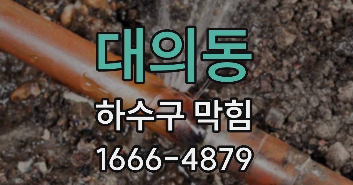 대의동 하수구 막힘