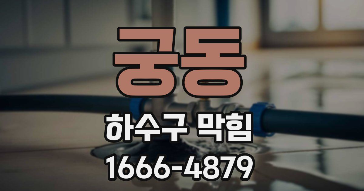 궁동 하수구 막힘