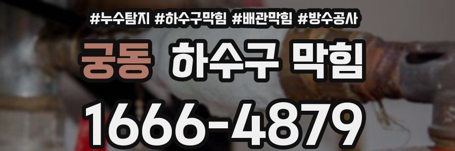 궁동 하수구 막힘
