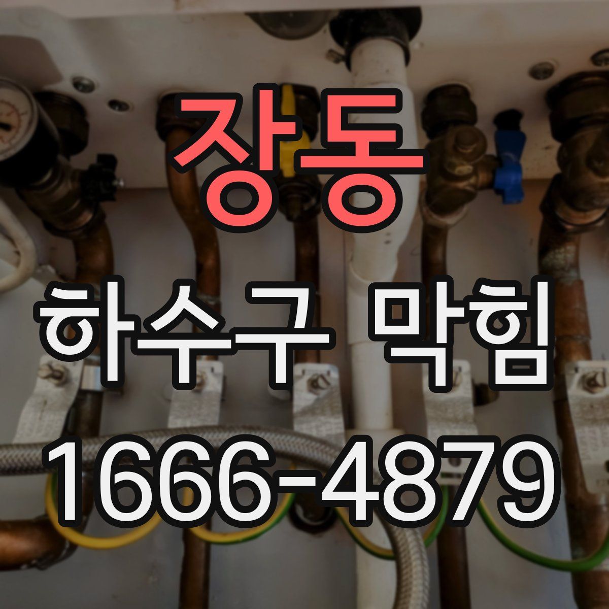 장동 하수구 막힘