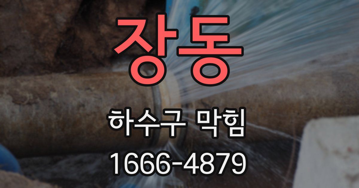 장동 하수구 막힘