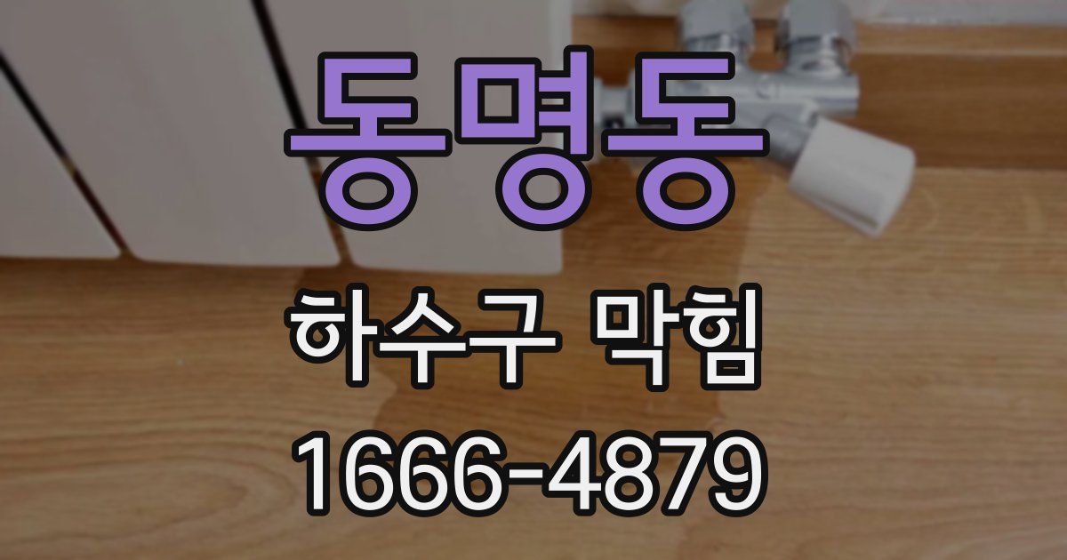 동명동 하수구 막힘