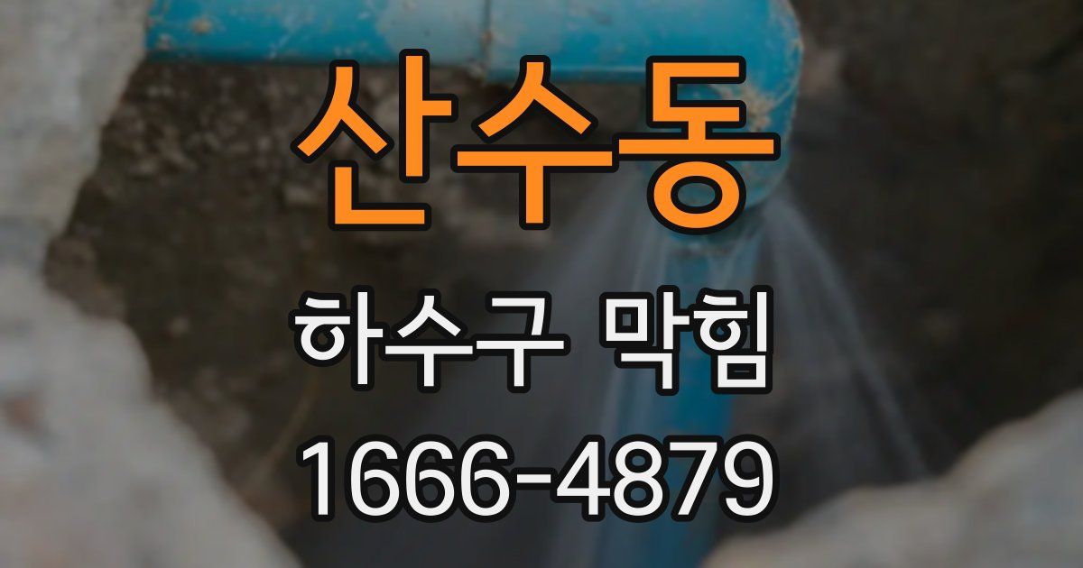 산수동 하수구 막힘