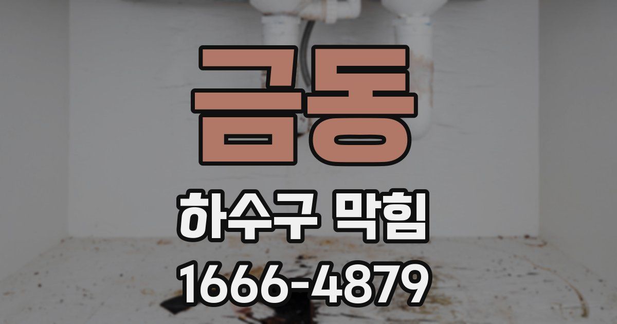 금동 하수구 막힘