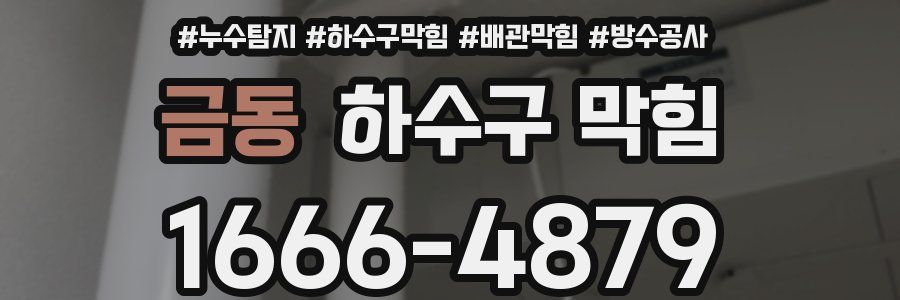 금동 하수구 막힘
