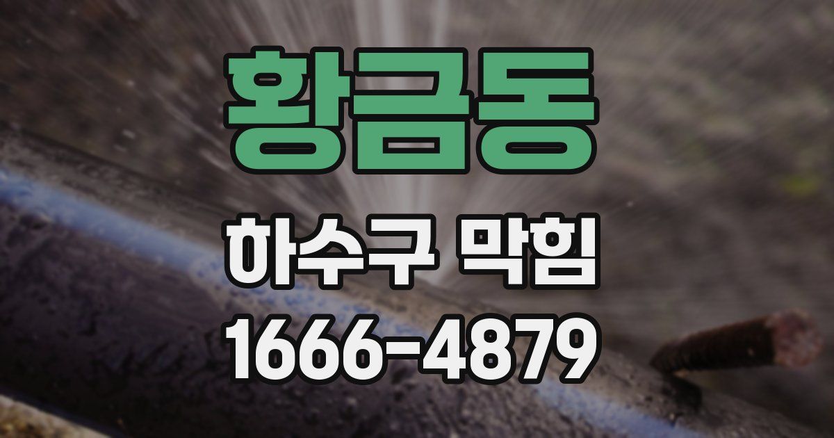 황금동 하수구 막힘