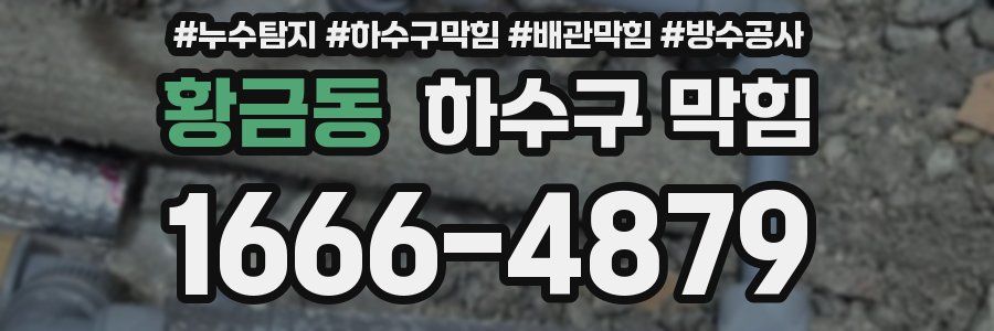 황금동 하수구 막힘