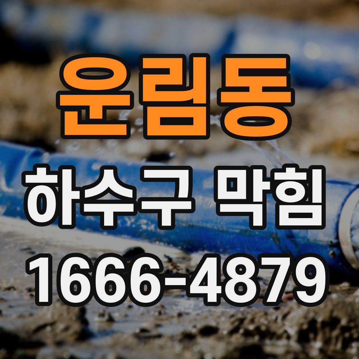 운림동 하수구 막힘
