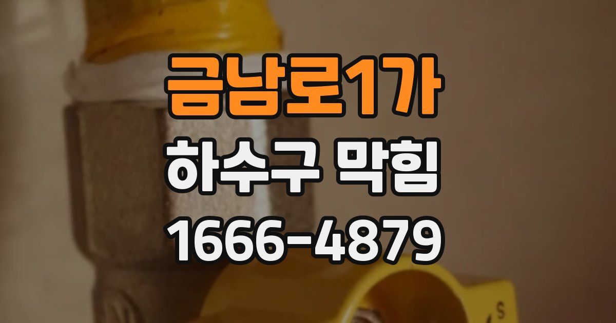 금남로1가 하수구 막힘
