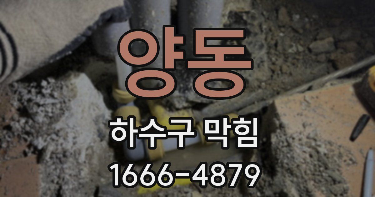 양동 하수구 막힘
