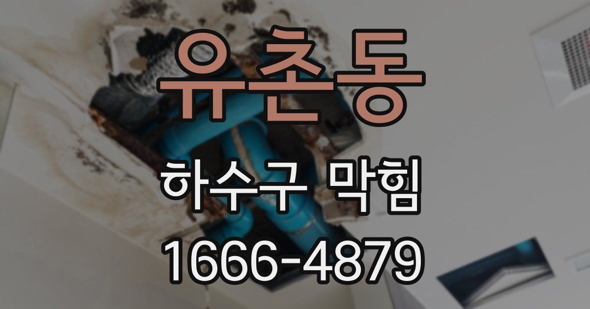 유촌동 하수구 막힘