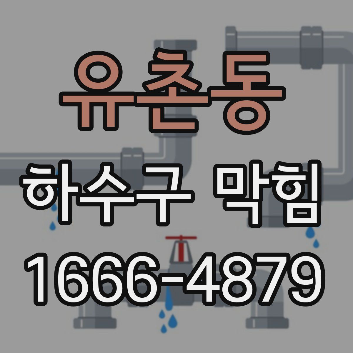 유촌동 하수구 막힘