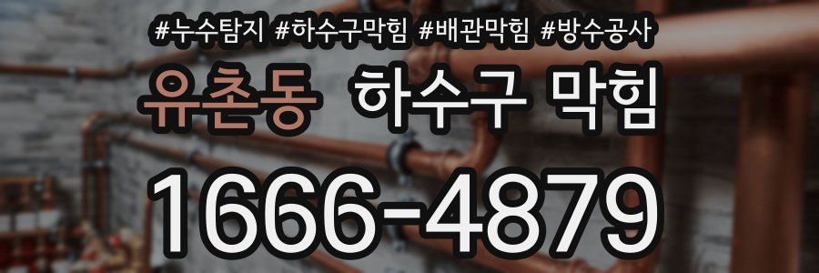 유촌동 하수구 막힘