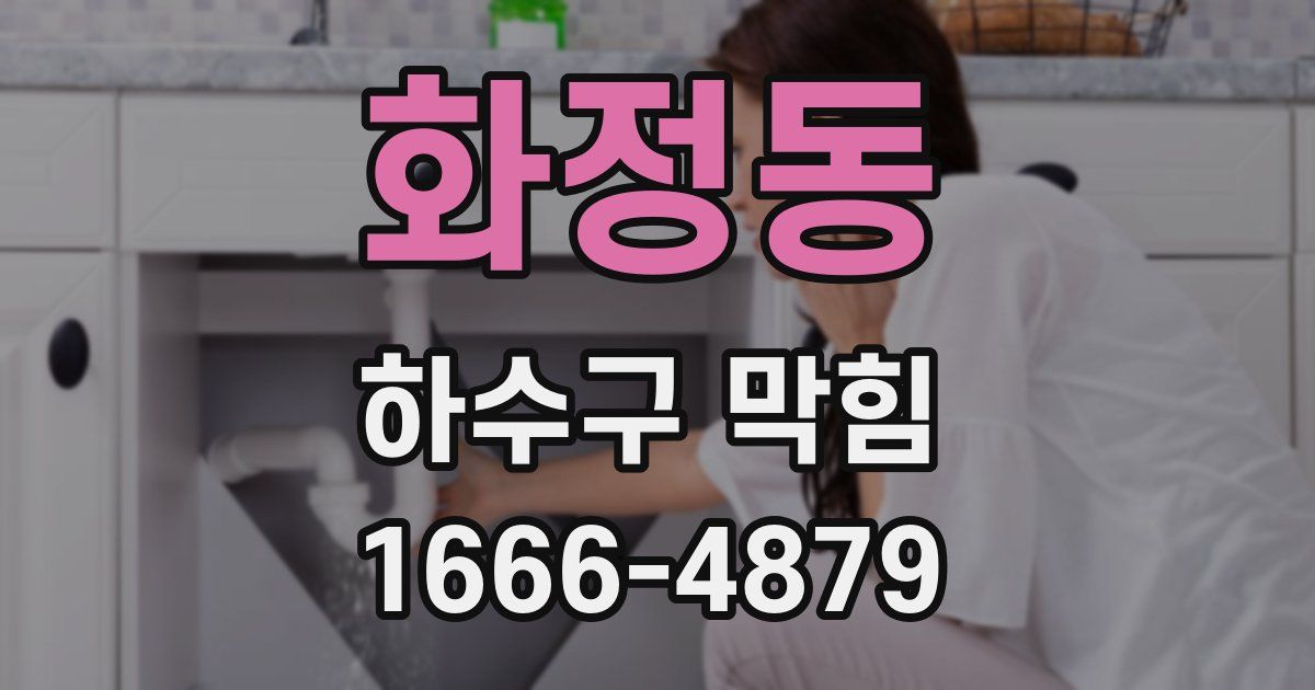 화정동 하수구 막힘