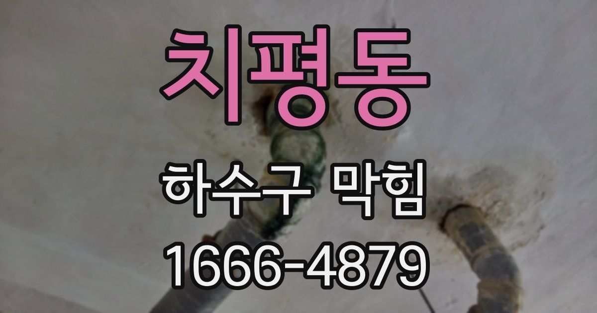 치평동 하수구 막힘