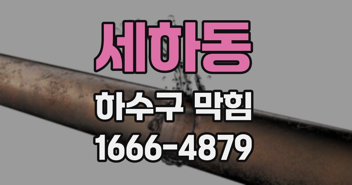 세하동 하수구 막힘