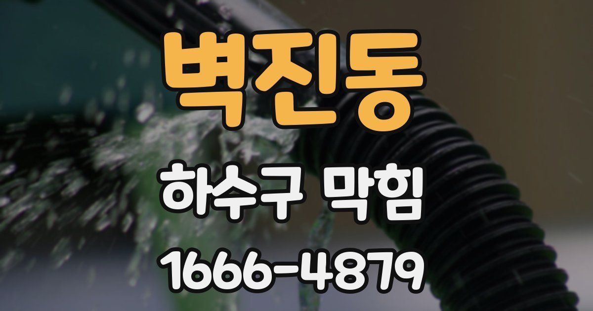 벽진동 하수구 막힘