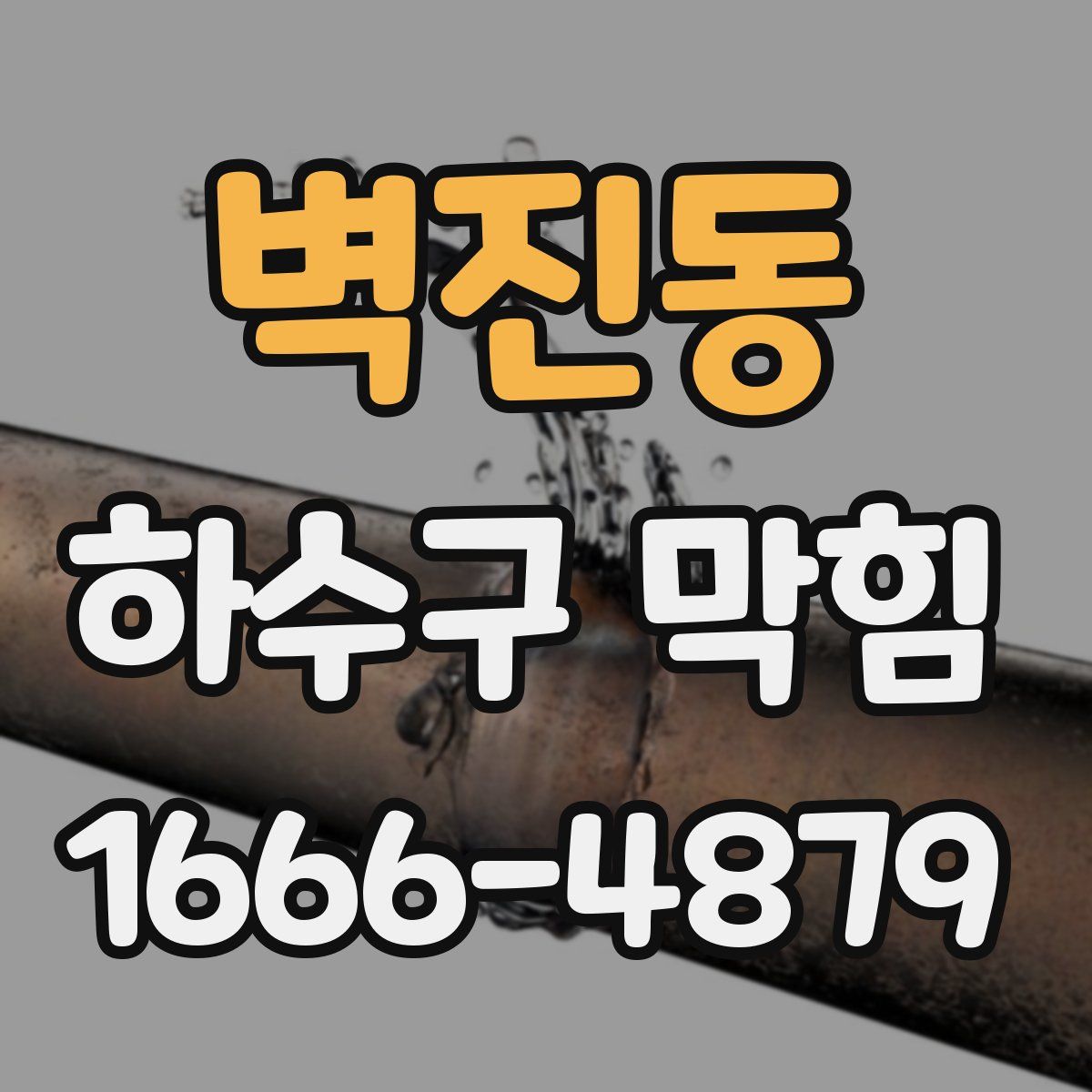 벽진동 하수구 막힘