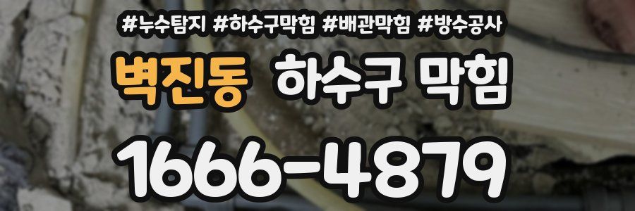 벽진동 하수구 막힘