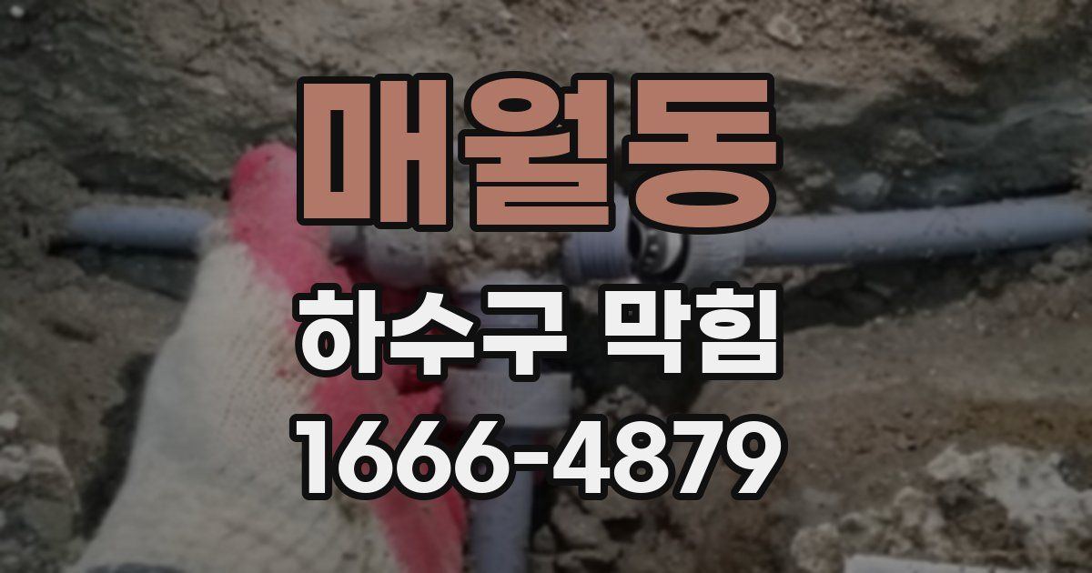 매월동 하수구 막힘