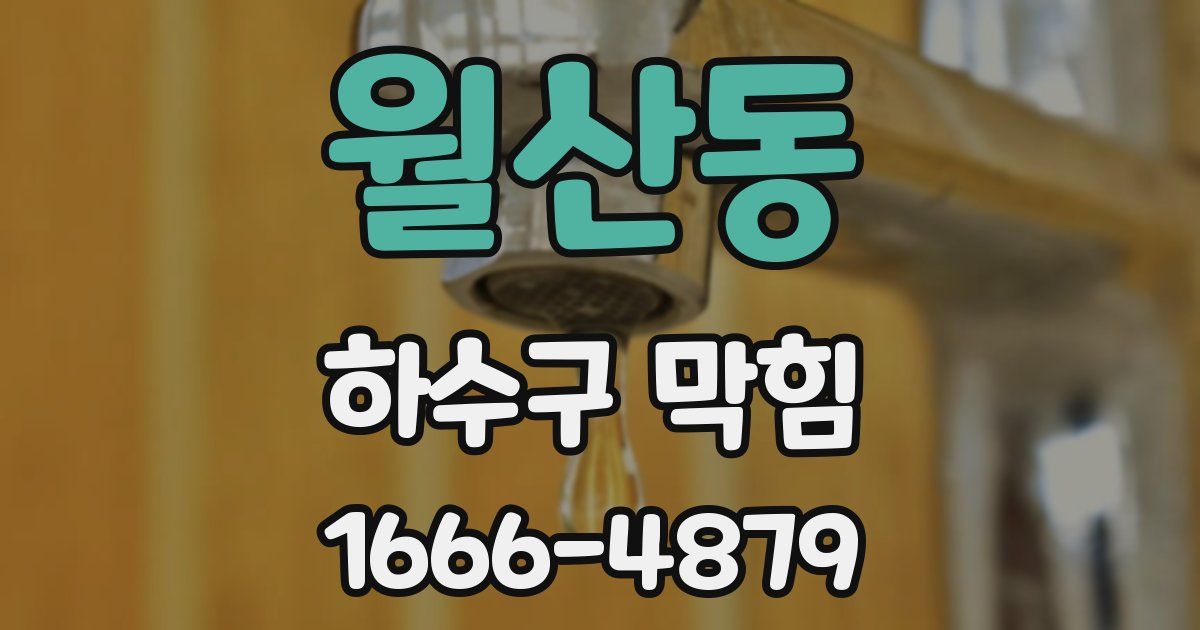 월산동 하수구 막힘