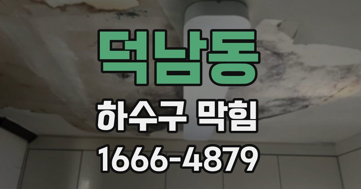덕남동 하수구 막힘