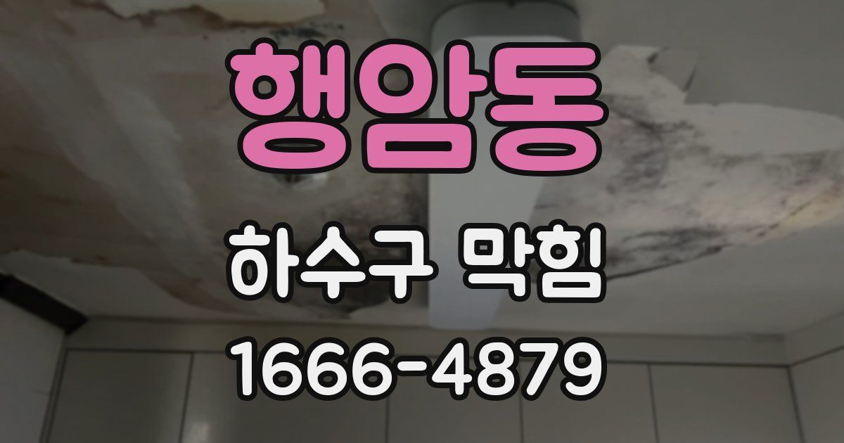 행암동 하수구 막힘
