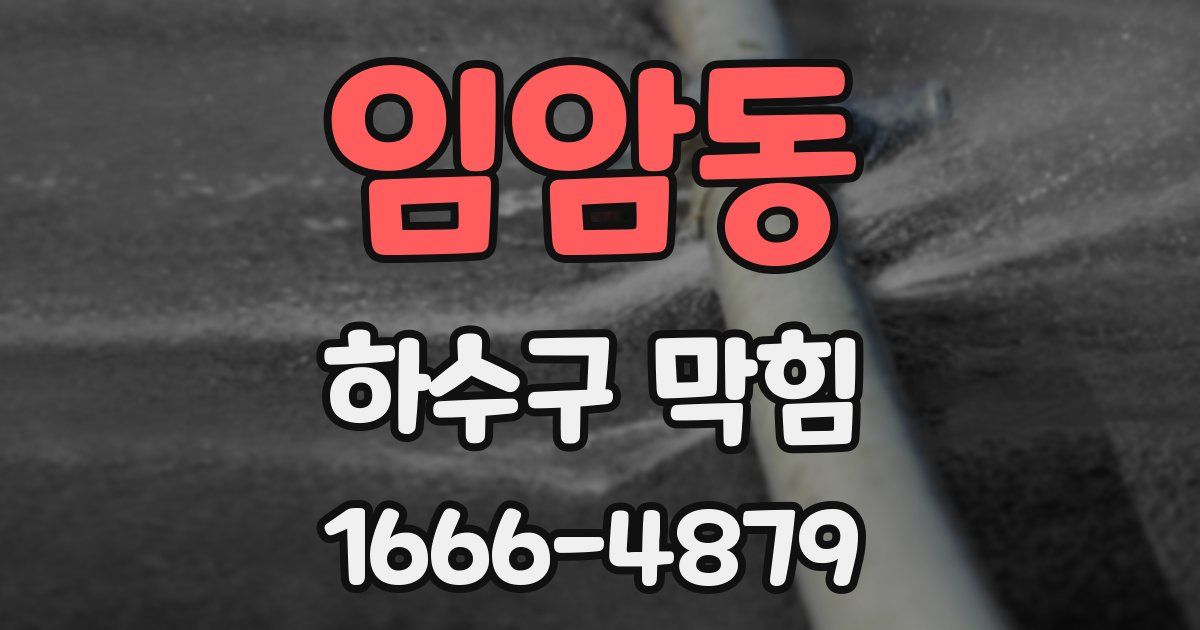 임암동 하수구 막힘