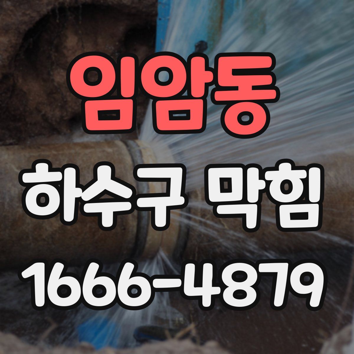 임암동 하수구 막힘