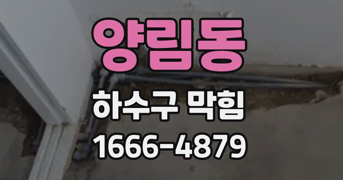 양림동 하수구 막힘