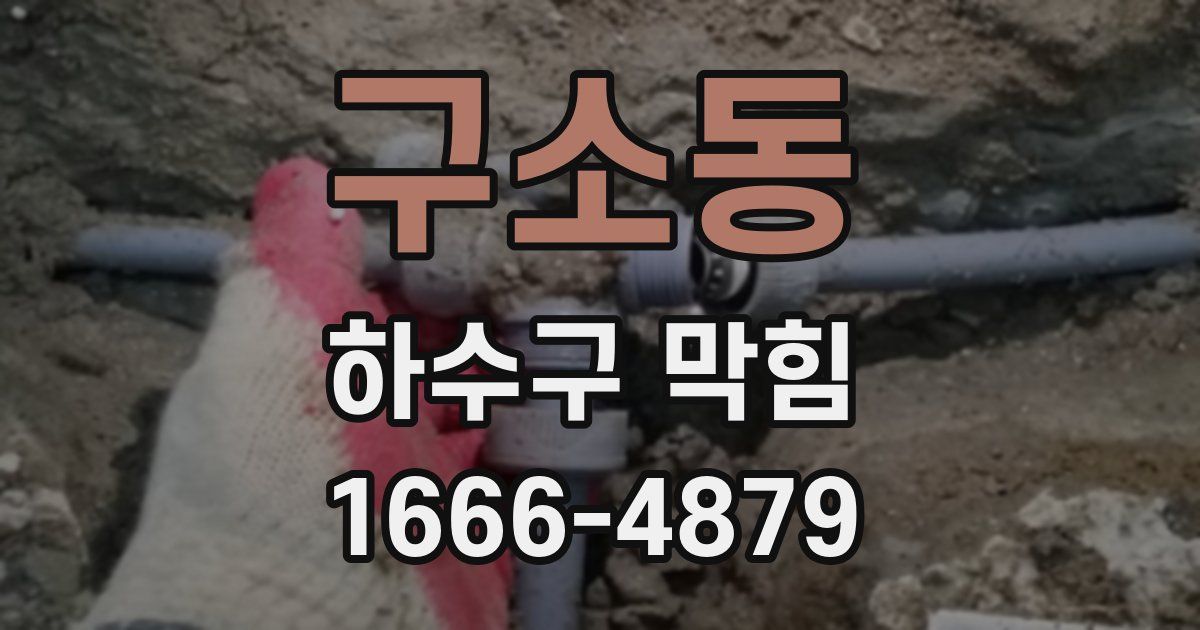 구소동 하수구 막힘