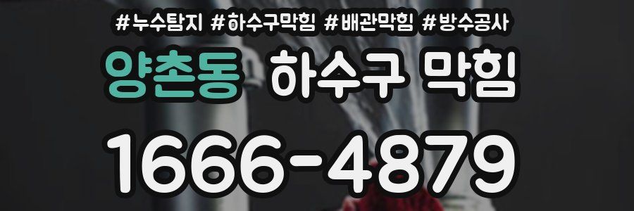 양촌동 하수구 막힘