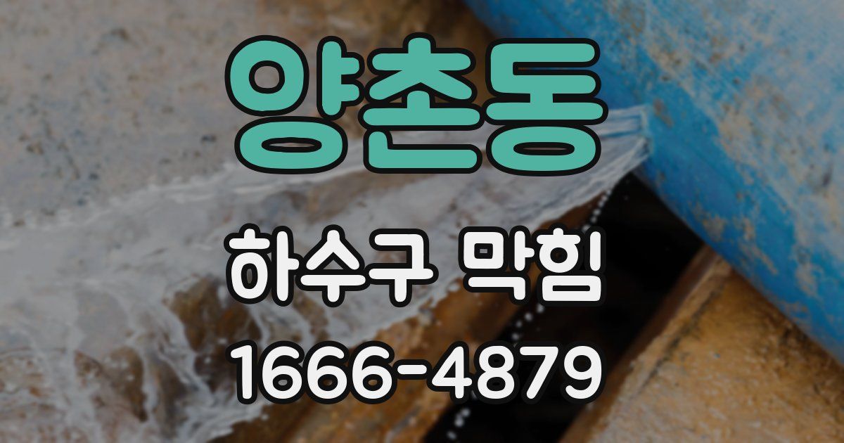 양촌동 하수구 막힘