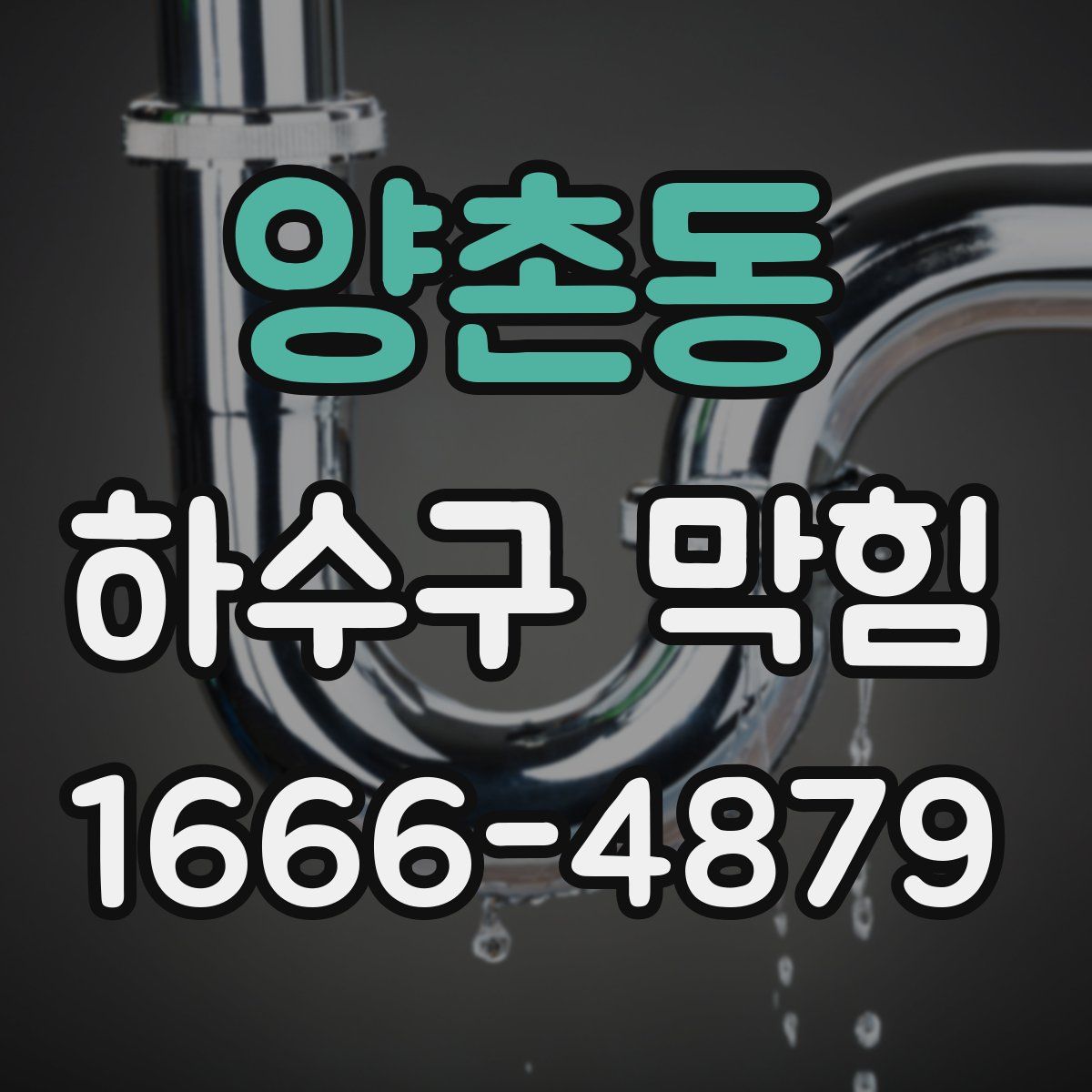 양촌동 하수구 막힘