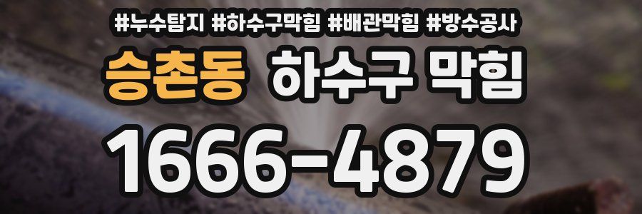 승촌동 하수구 막힘