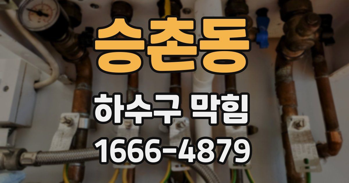 승촌동 하수구 막힘