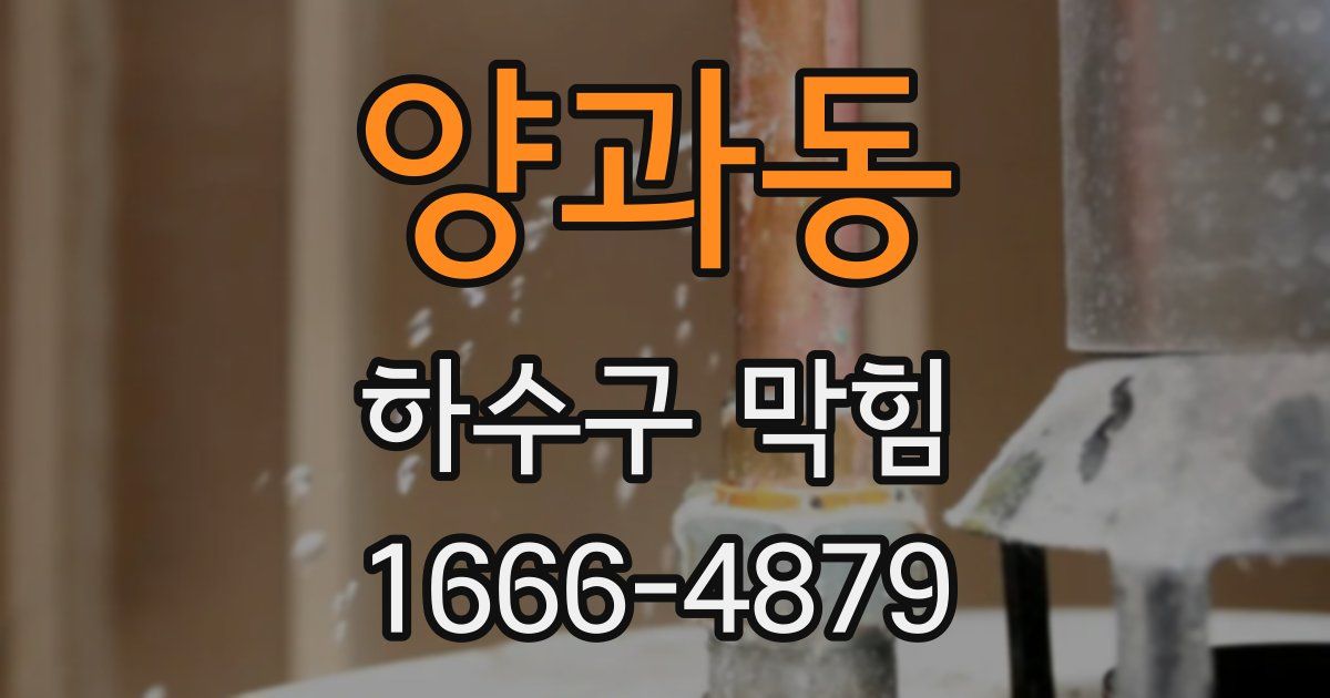 양과동 하수구 막힘