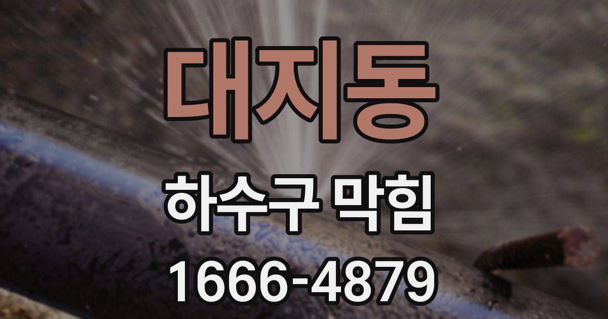 대지동 하수구 막힘