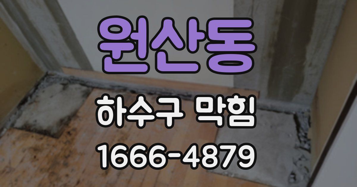 원산동 하수구 막힘