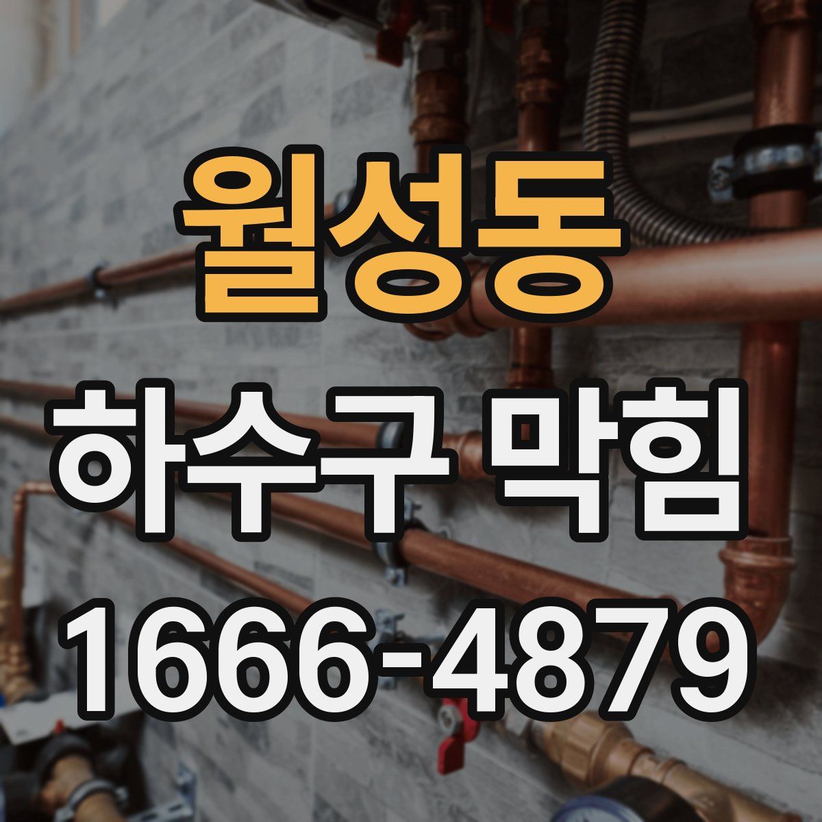 월성동 하수구 막힘