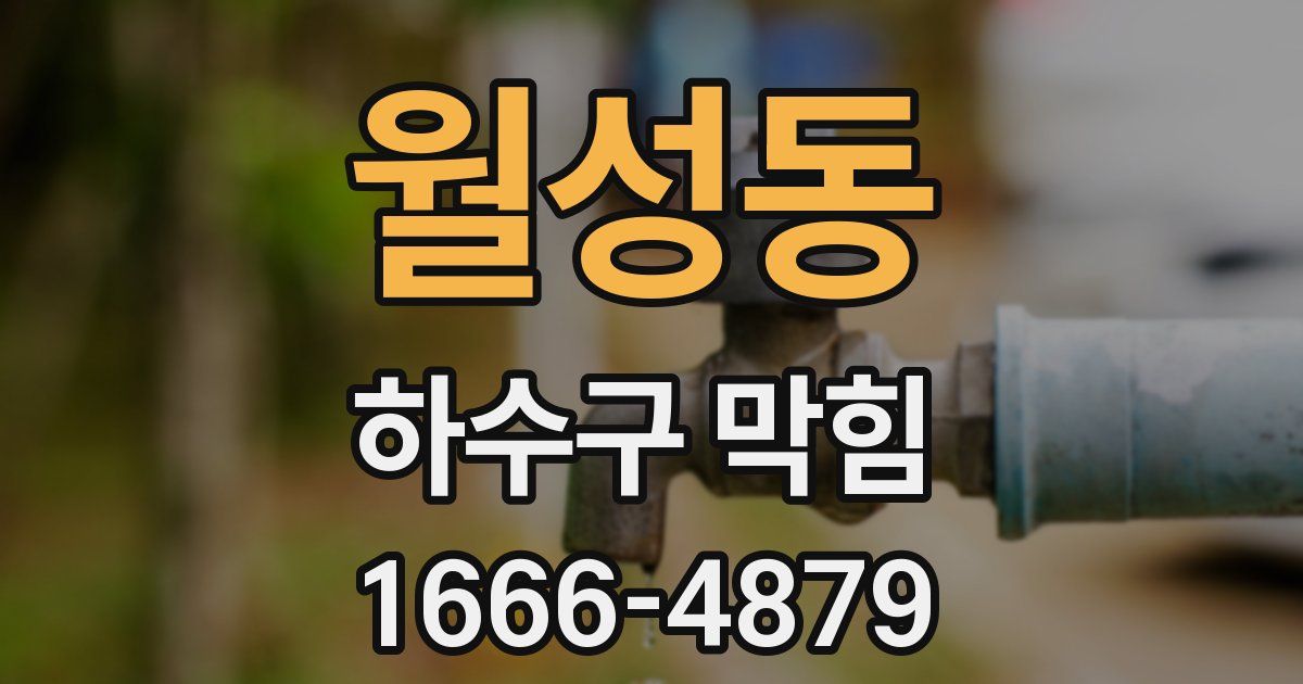 월성동 하수구 막힘