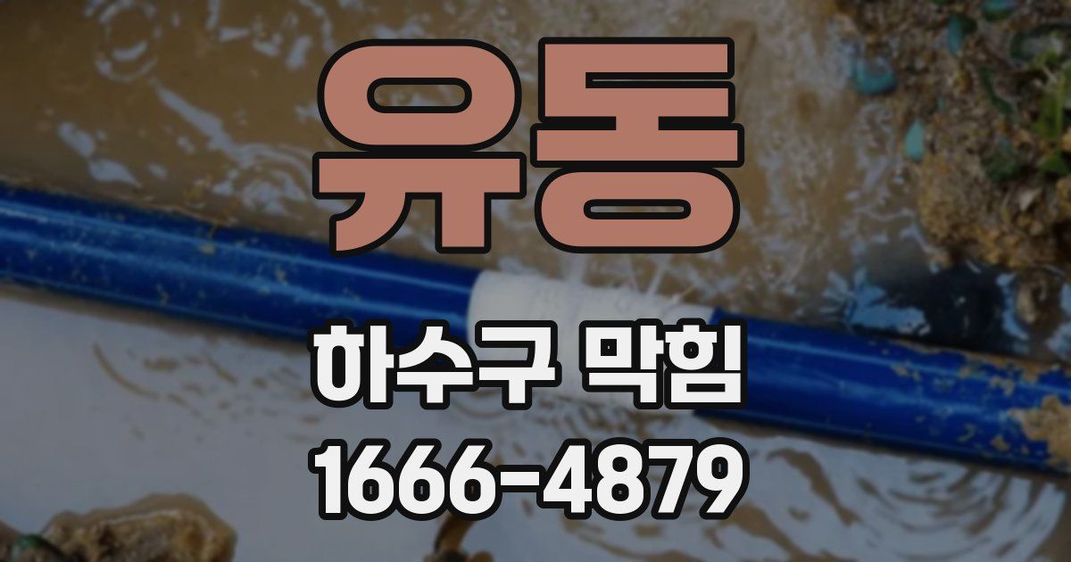 유동 하수구 막힘