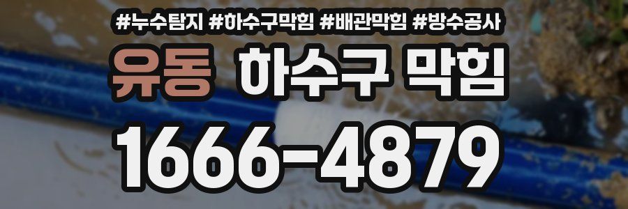 유동 하수구 막힘