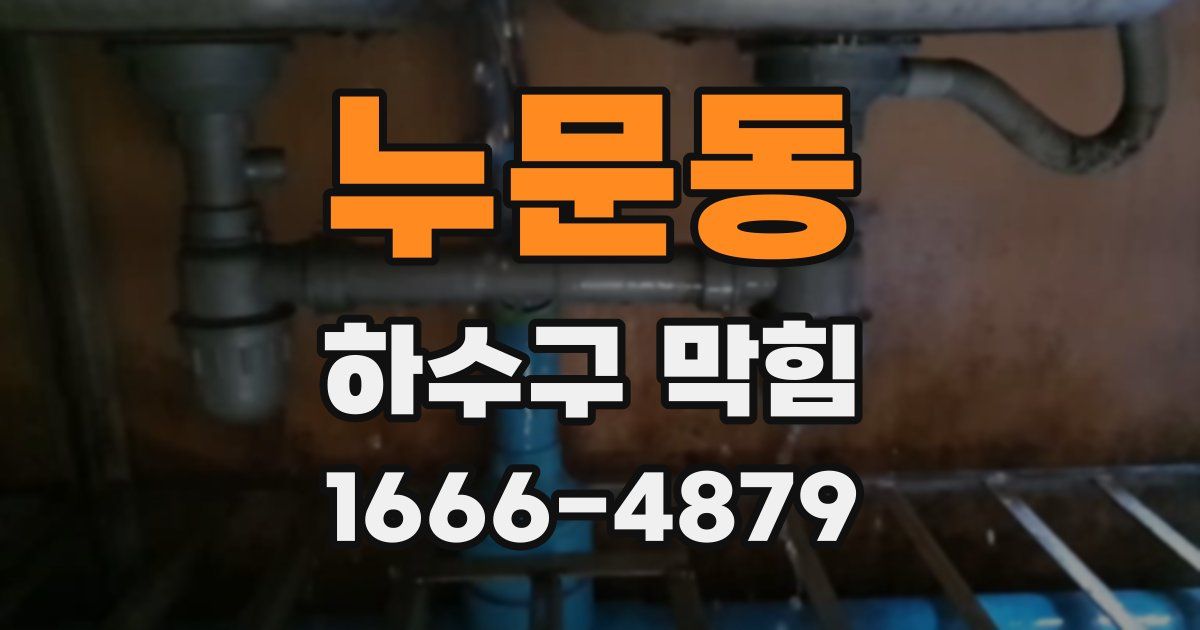 누문동 하수구 막힘