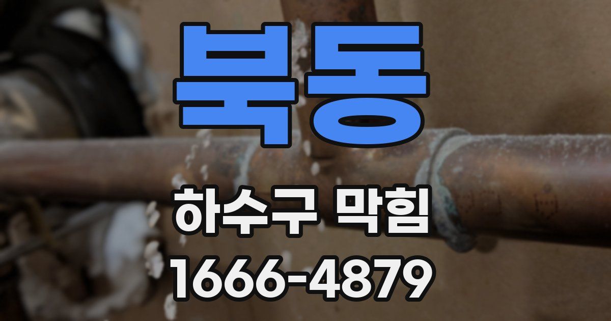 북동 하수구 막힘