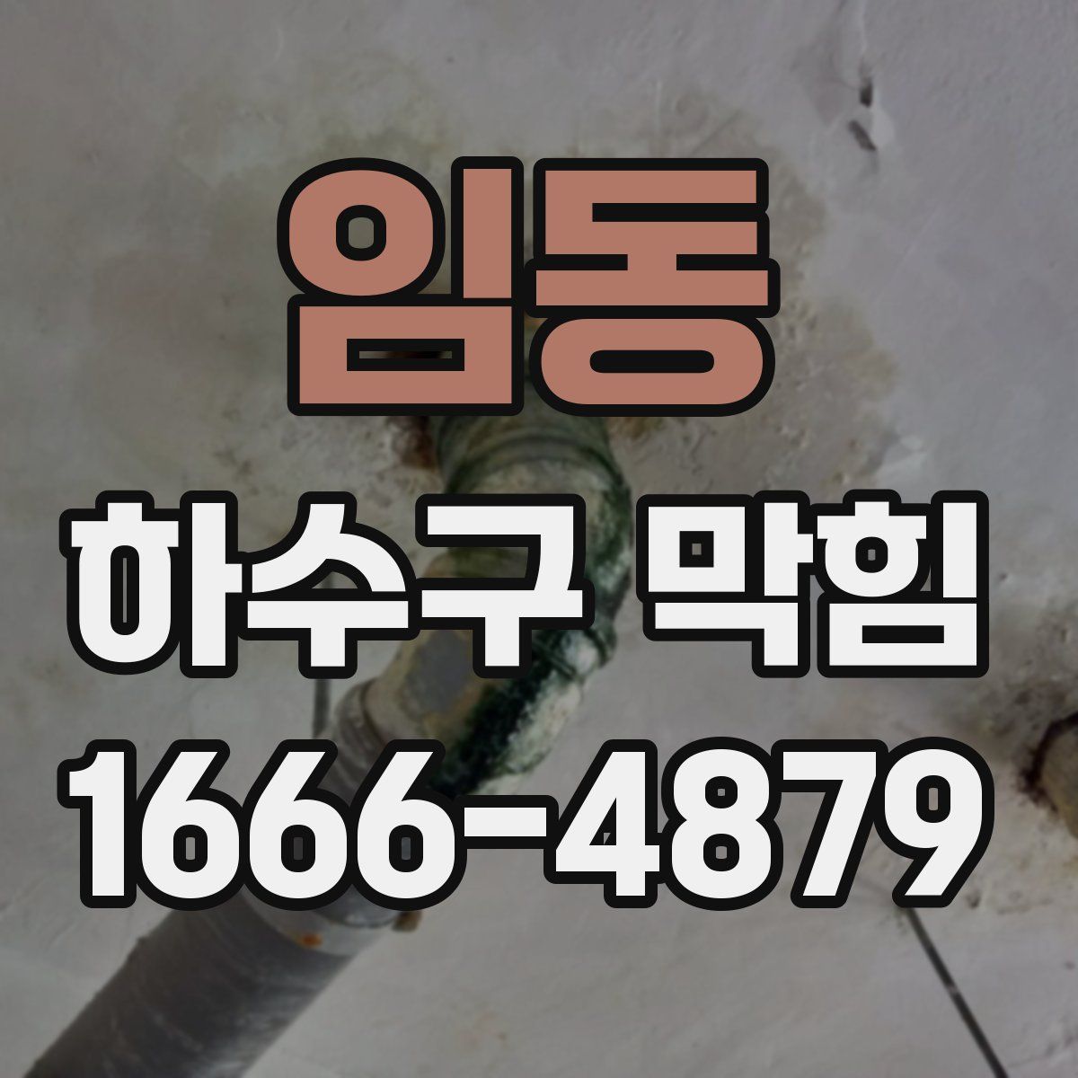 임동 하수구 막힘