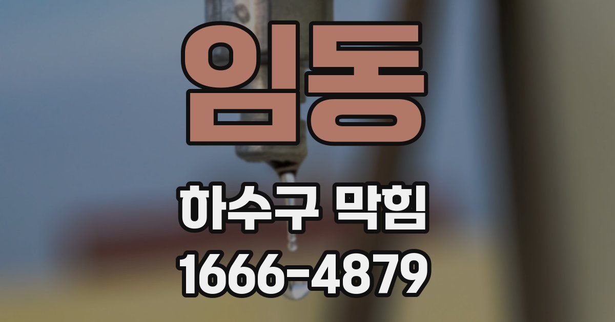 임동 하수구 막힘