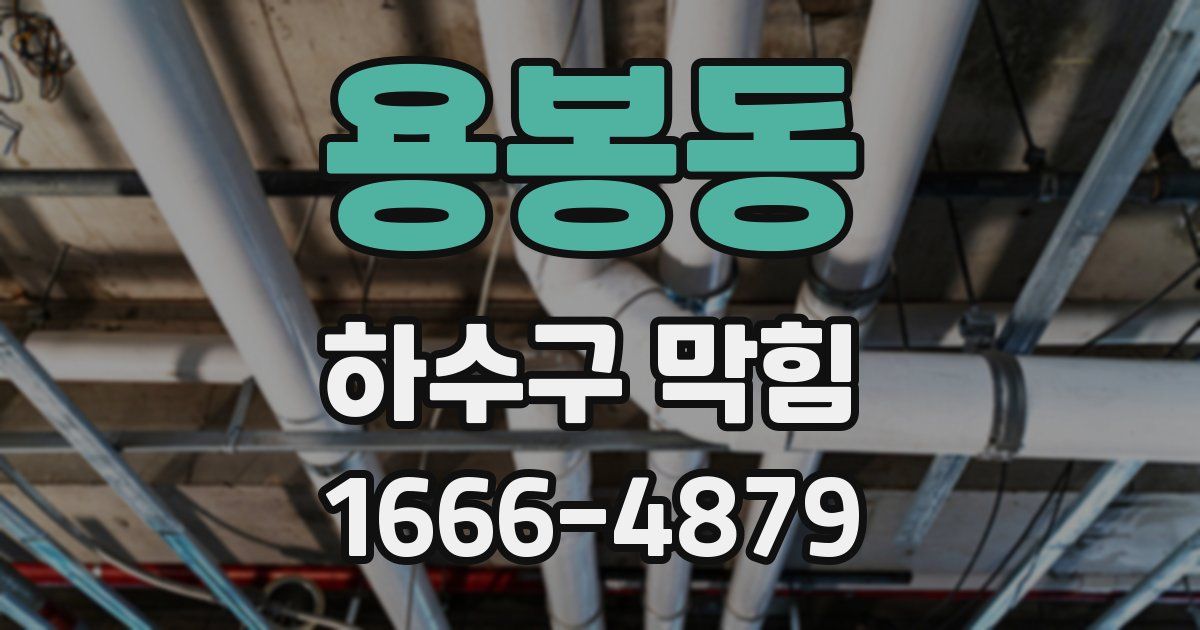 용봉동 하수구 막힘