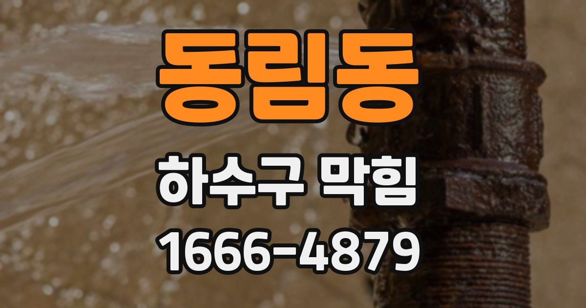 동림동 하수구 막힘