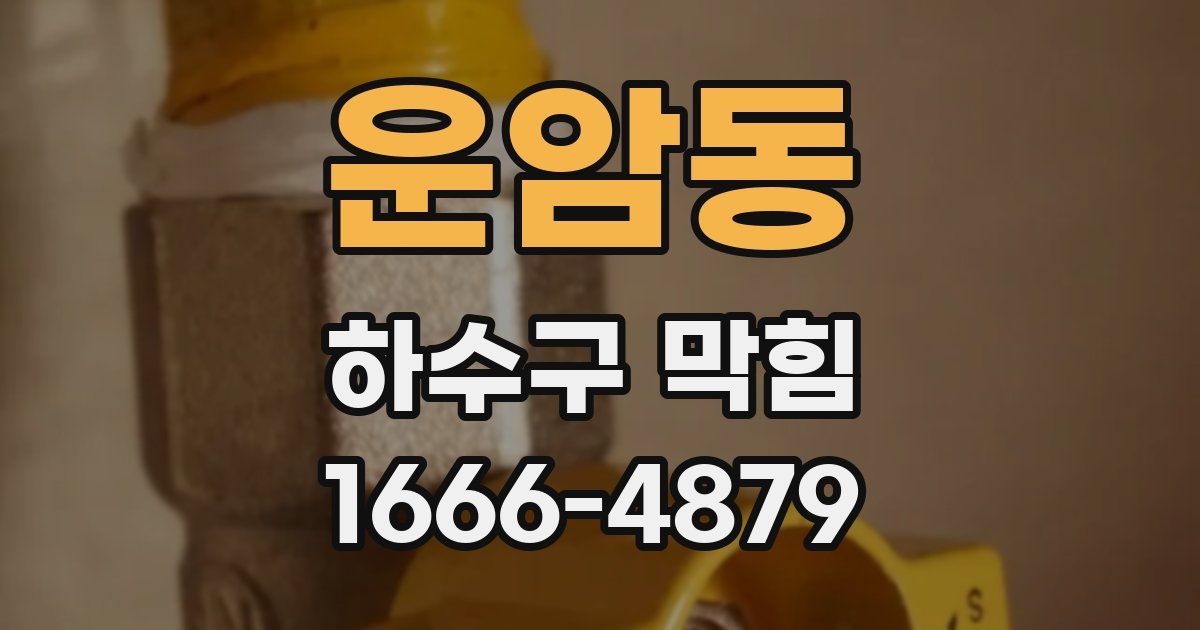 운암동 하수구 막힘